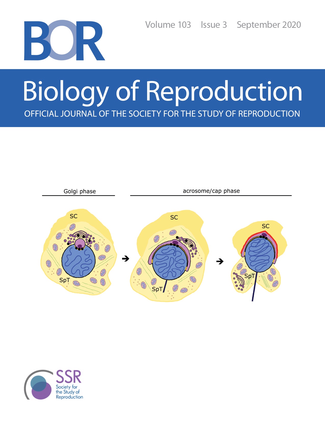 biology essays on reproduction