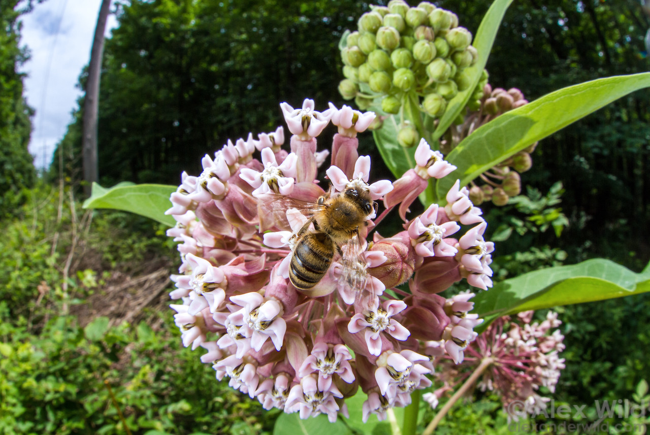 Featured Image for New Faces for Fall 2023