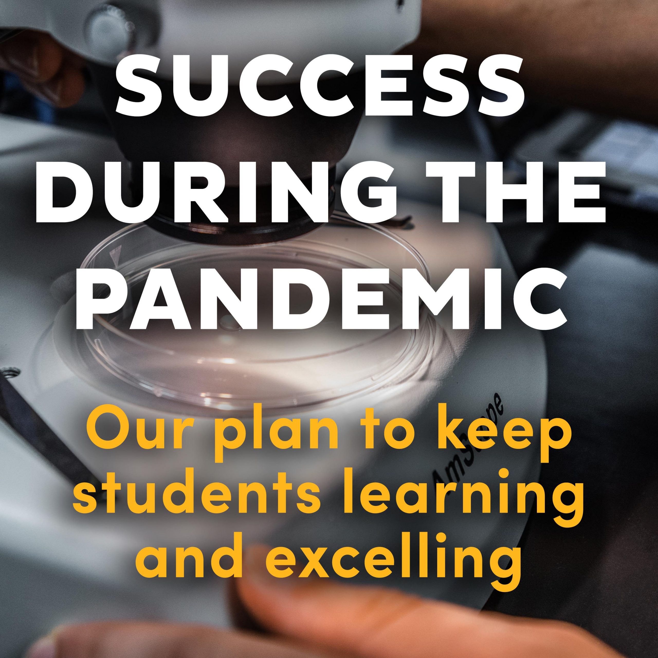 Featured Image for Success During the Pandemic