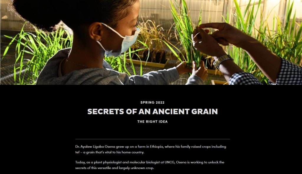 UNCG Research magazine article webpage