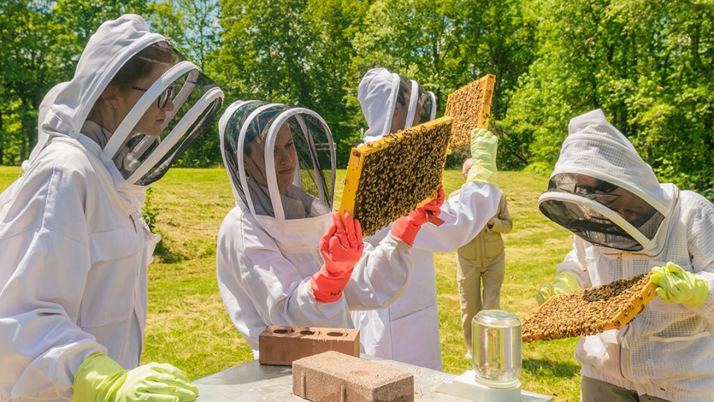 people in beekeeper suits are examining their hives on a sunny day in a field