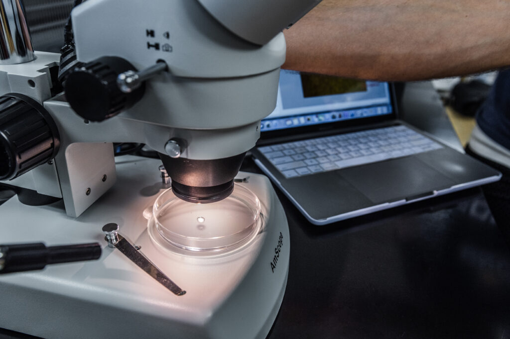 microscope and laptop