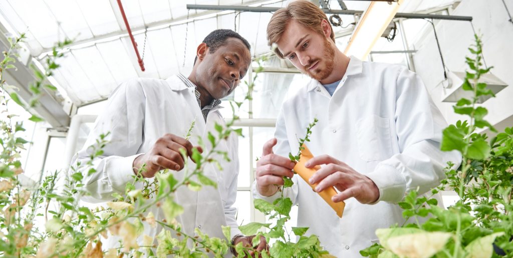 Osena in the lab with a student