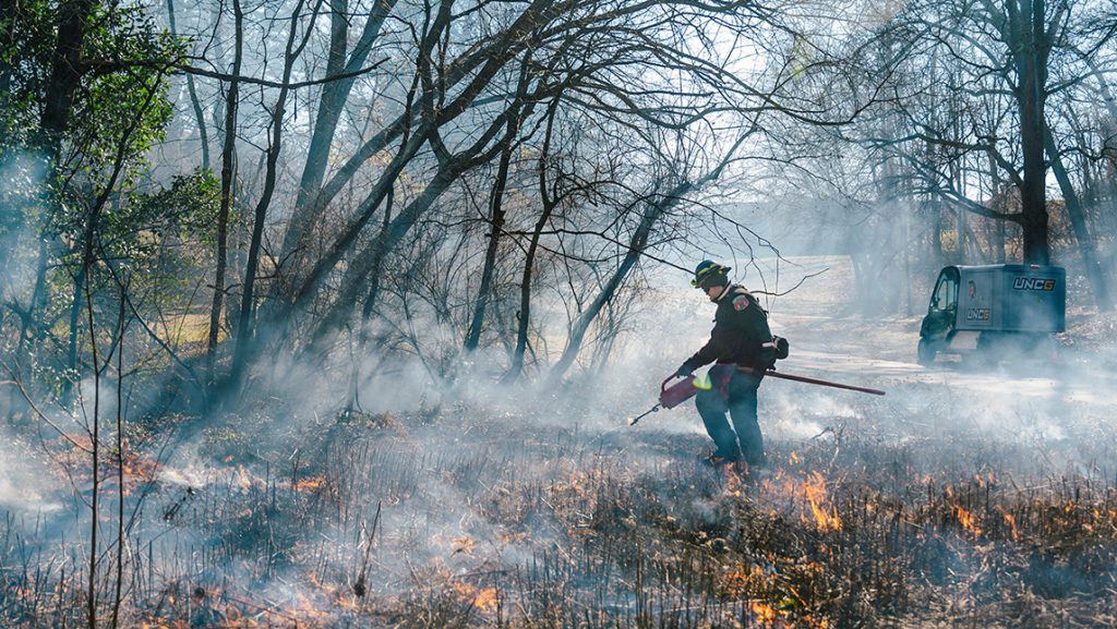 a worker with a torch walking through a controlled burn at UNCG.